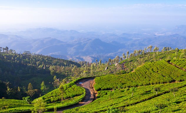 Misty highland scenery for Nuwara Eliya stay