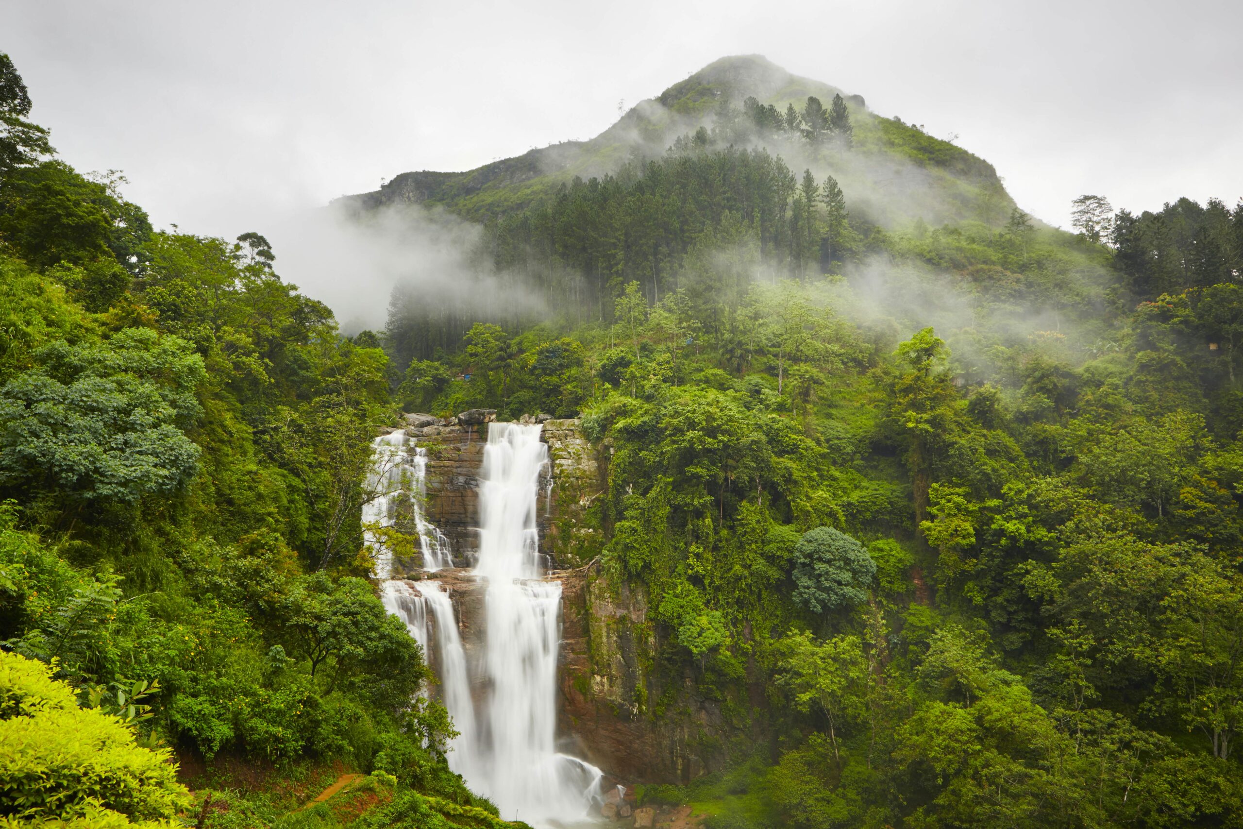 Tea country landscape in Nuwara Eliya