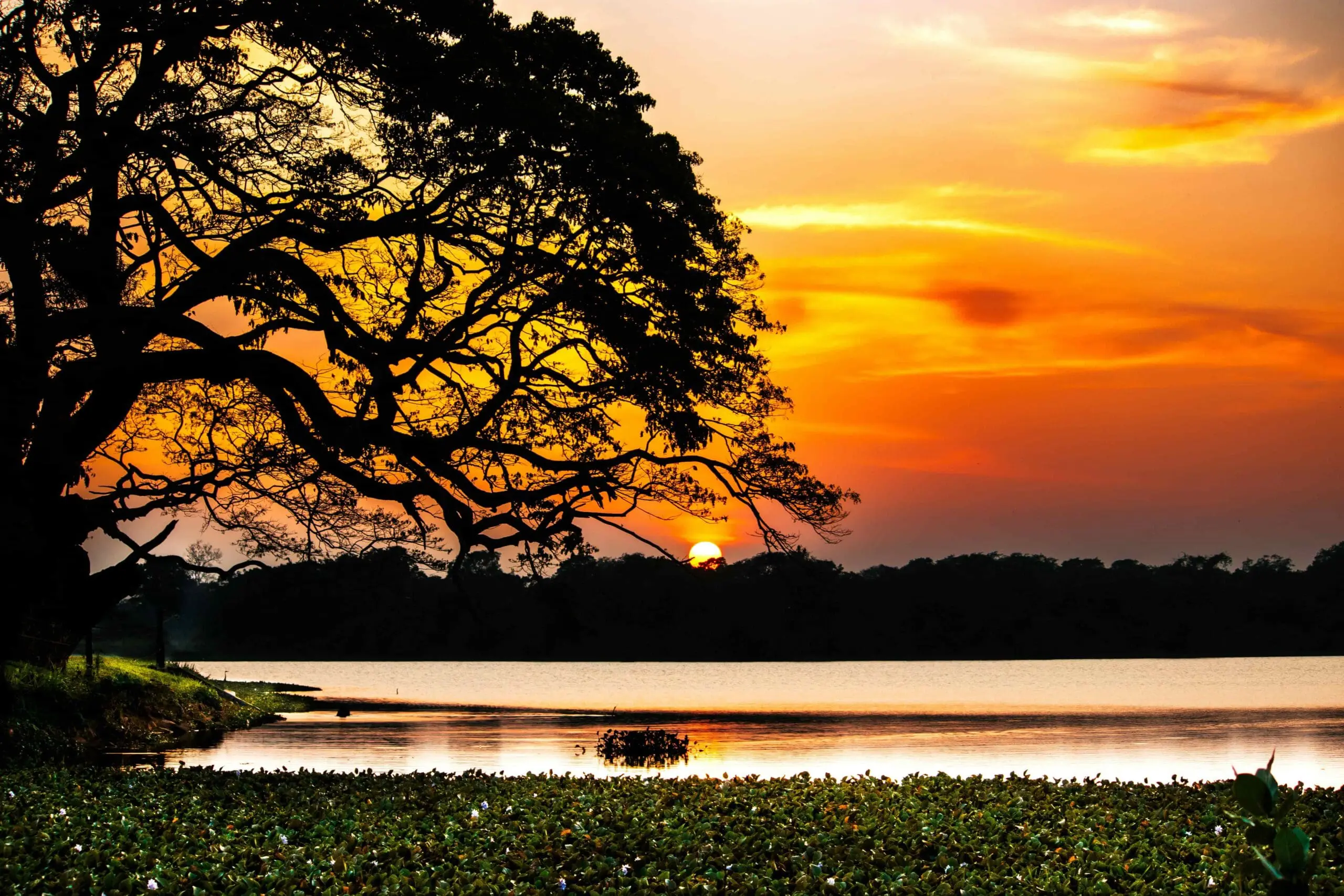 Honey Moon Tours